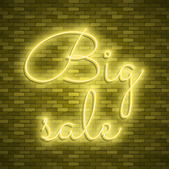 Neon light lettering, Stock vector. Color design