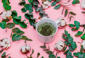 Green tea in a cup with cotton and Eucalyptus branches
