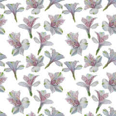 Seamless floral pattern with Alstroemeria, watercolor