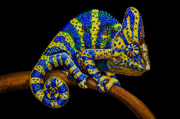 Oil painting - chameleon on a black background. - obrazy, fototapety, plakaty