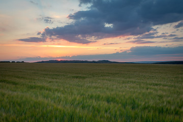 Fototapeta na wymiar Sunset over country field of crops