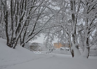 Park am Wohngebiet winterlich verschneit