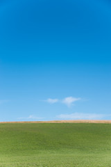 Grüne Wiese und blauer Himmel, natürlicher Hintergrund mit Platz für Text