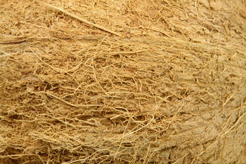 Coconut Texture