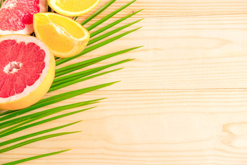 The basis for the banner with palm leaf and fruit. Grepfruit, orange, palm leaf with space for...