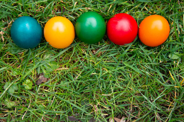 Easter colorful eggs in fresh green grass. Spring, easte holiday background with copy space.