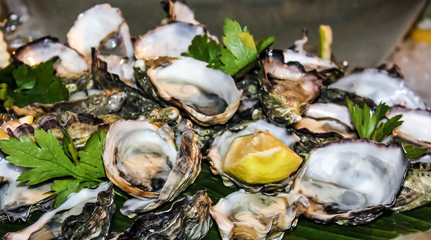 Fresh Oysters with lemon and parsley