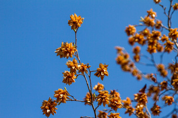 Natura e campagna della Lombardia