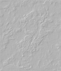 White rough abstract contrast texture gesso backgound