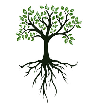 Tree symbol with roots, real hand drawing. Vector Illustration