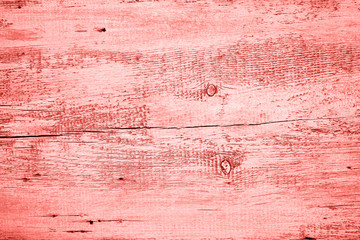 Living coral old vintage textured background