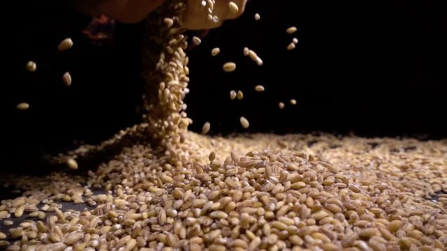 pearl barley spilling on burlap