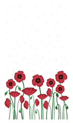 Poppies Background