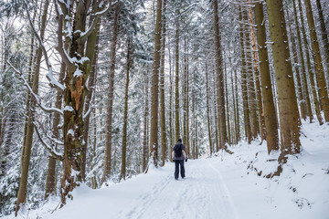 Man walking on a snowy road in the woods