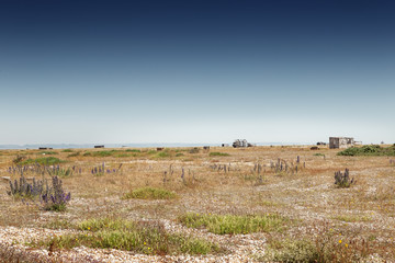 landscape image, romney marsh coastline
