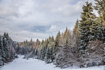 Path in the woods in winter, Transylvania, Romania