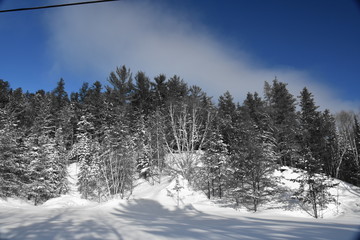 Hiver bleu blanc noir 