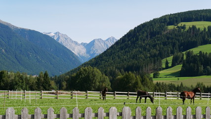 Munich Venice cycle track through the dolomits