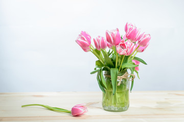 Pink tulips. Spring concept. March 8. Close-up with copyspace.