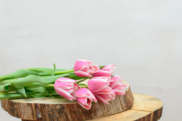 Pink tulips. Spring concept. March 8. Close-up with copyspace.