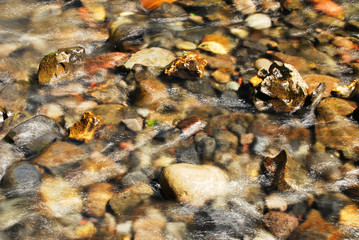 autumn rocks in water