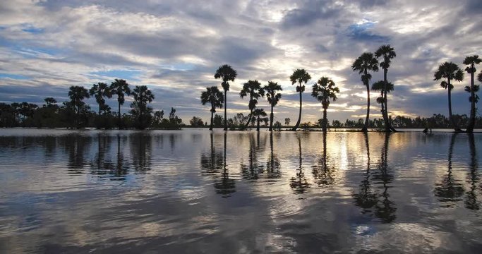 Beautiful time lapse, timelapse of sunrise sky with reflection of palm trees on lake water. Royalty high-quality free stock video footage time lapse or timelapse sunrise of palm tree or coconut tree