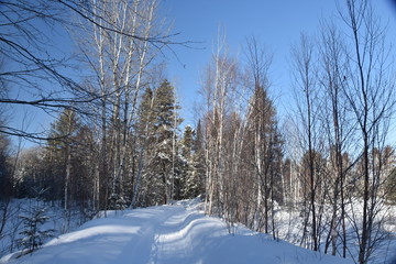 Paysage d'hiver au Québec