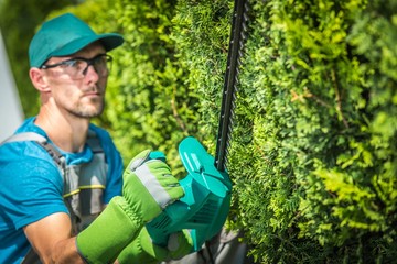 Trimming Green Tree Wall