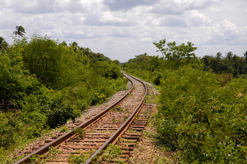 Fototapeta na wymiar old railroad in the wild