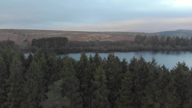 Drone flyover trees revealing beautiful reservoir, Dartmoor National Park