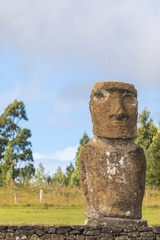 Ahu Akivi, the only Ahu platform on Easter Island looking to the Pacific Ocean. 7 moais still stand up at the center of the Island. Ahu Akivi reveals the Moais magic.