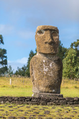 Ahu Akivi, the only Ahu platform on Easter Island looking to the Pacific Ocean. 7 moais still stand up at the center of the Island. Ahu Akivi reveals the Moais magic.
