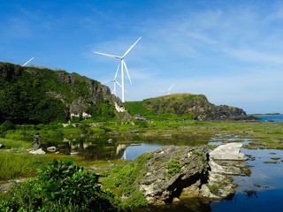 The Wonderful Creation of Nature