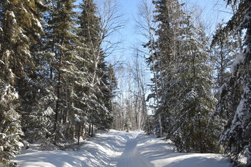 Froid d'hiver au Québec