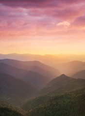 Vallée de montagne pendant le coucher du soleil. Paysage naturel de montagne d& 39 été. Forêt et montagnes. Montagne-image..