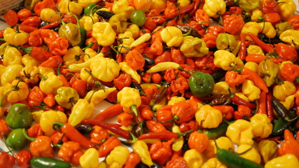 Red yellow and green chili peppers.