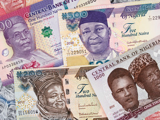 Various Nigeria naira. Nigerian money currency notes. Nigeria economy and investment..
