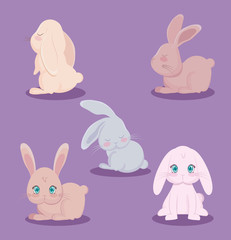 group of cute rabbits animals