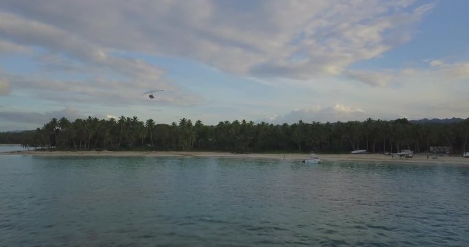 FIB - Flying Inflatable Boat. Aerial shot following the amphibious aircraft performing in the sky above the sea and palm trees.