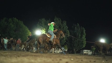 cowboy riding a horse roping a cow