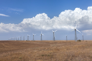 wind turbines in the field