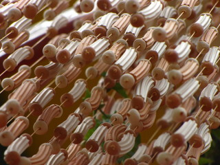 Multicolor texture
