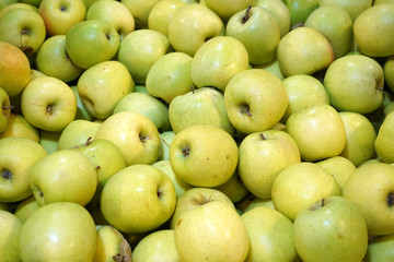Fresh picked green apples background in the harvest season