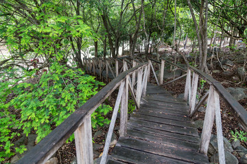 Path of rustic wood