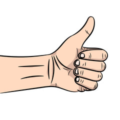 The vector illustration of a hand showing the sign a thumb up