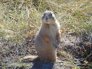 You Talkin' To Me?