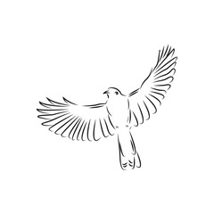 bird line art logo icon design template vector