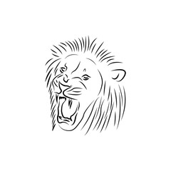 lion line art  design template