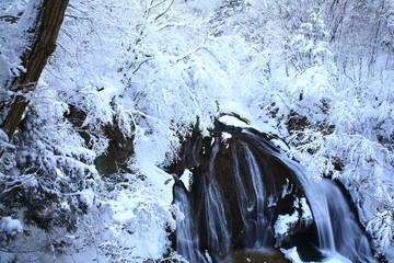 冬の関山大滝