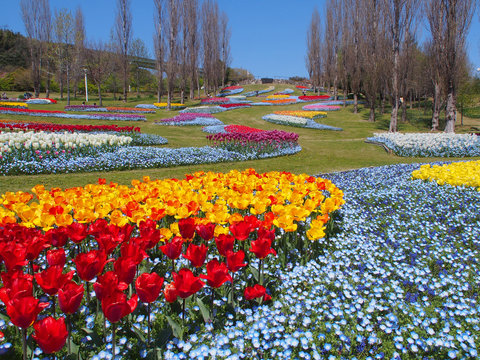 331 件の最適な 明石海峡公園 画像 ストック写真 ベクター Adobe Stock